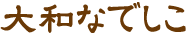 aȂł